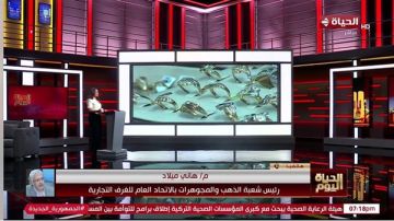 شعبة الذهب والمجوهرات تكشف أسباب ارتفاع الأسعار وتوقعات الفترة المقبلة (فيديو) شعبة الذهب والمجوهرات تكشف أسباب ارتفاع الأسعار وتوقعات الفترة المقبلة (فيديو)