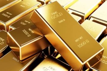 شعبة الذهب تكشف عن أسباب ارتفاع الأسعار عالميا ومحليا شعبة الذهب تكشف عن أسباب ارتفاع الأسعار عالميا ومحليا