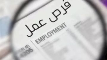 1489 فرصة عمل في 13 محافظة.. قدم ورقك الآن 1489 فرصة عمل في 13 محافظة.. قدم ورقك الآن
