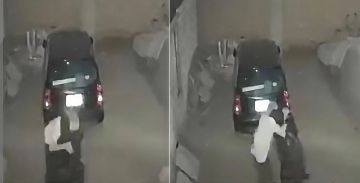 سيدة مصرية تنقذ زوجها بحركة مصارعة خاطفة قبل الاعتداء عليه سيدة مصرية تنقذ زوجها بحركة مصارعة خاطفة قبل الاعتداء عليه