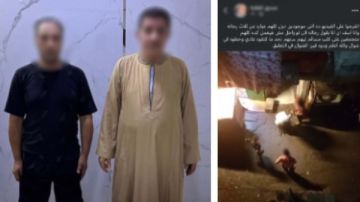 القبض على متهمين بتقيد كلب ووضعه داخل جوال بالقاهرة القبض على متهمين بتقيد كلب ووضعه داخل جوال بالقاهرة