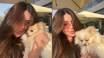 سارة سلامة تتألق في أحدث إطلالاتها عبر إنستجرام سارة سلامة تتألق في أحدث إطلالاتها عبر إنستجرام