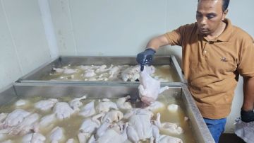 الدقهلية.. ضبط 5 أطنان مصنعات لحوم ودجاج غير صالحة للاستهلاك