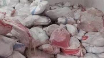 ضبط 800 كيلو لحوم يشتبه في كونها لحم حصان داخل محل جزارة بالمحلة ضبط 800 كيلو لحوم يشتبه في كونها لحم حصان داخل محل جزارة بالمحلة