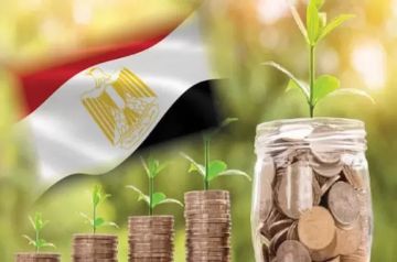 معلومات الوزراء: مصر تحقق تقدما في التحول الأخضر معلومات الوزراء: مصر تحقق تقدما في التحول الأخضر