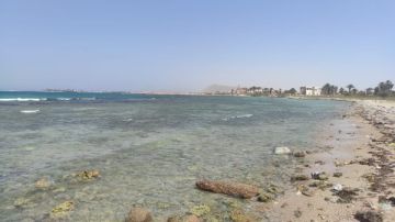 عمليات جنوب سيناء: لا خسائر أو إصابات جراء الزلزال