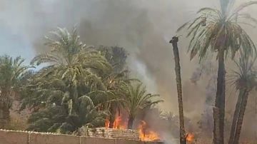 السيطرة علي حريق شب بمنطقة زراعية بالعدوة شمال المنيا السيطرة علي حريق شب بمنطقة زراعية بالعدوة شمال المنيا