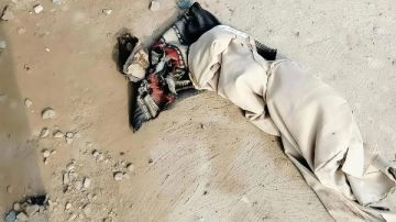 مصرع شخص دهسا أسفل عجلات قطار قويسنا مصرع شخص دهسا أسفل عجلات قطار قويسنا