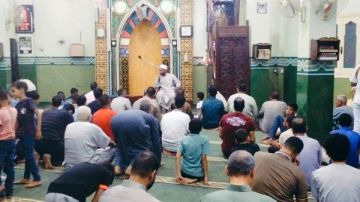 الأوقاف تواصل فعاليات برنامج المساجد المحورية بـ 3655 مسجدا الأوقاف تواصل فعاليات برنامج المساجد المحورية بـ 3655 مسجدا
