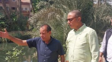 محافظ الجيزة: زراعة 3350 شجرة بأبو النمرس ضمن مبادرة ازرع شجرة محافظ الجيزة: زراعة 3350 شجرة بأبو النمرس ضمن مبادرة ازرع شجرة