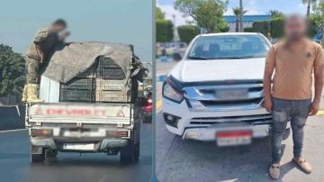 الحمولة مش مربوطة.. القبض على سائق سيارة نقل بالإسكندرية الحمولة مش مربوطة.. القبض على سائق سيارة نقل بالإسكندرية