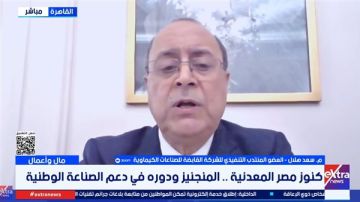 سعد هلال: 14 شركة تابعة للقابضة الكيماوية تحقق أرباحا.. وهذه قصة شركة الدلتا سعد هلال: 14 شركة تابعة للقابضة الكيماوية تحقق أرباحا.. وهذه قصة شركة الدلتا