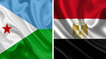 وزيرا خارجية مصر وجيبوتي يبحثان تعزيز التعاون وأمن القرن الإفريقي وزيرا خارجية مصر وجيبوتي يبحثان تعزيز التعاون وأمن القرن الإفريقي