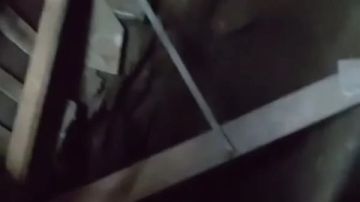 أمن المنوفية يفحص فيديو متداول لواقعة تنقيب عن الآثار بالشهداء أمن المنوفية يفحص فيديو متداول لواقعة تنقيب عن الآثار بالشهداء