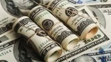 استقرار سعر الدولار على ارتفاع فوق 50 جنيه استقرار سعر الدولار على ارتفاع فوق 50 جنيه