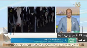 الزراعة تطلق الحملة القومية لتحصين الماشية.. خبير يوضح الأهداف الزراعة تطلق الحملة القومية لتحصين الماشية.. خبير يوضح الأهداف