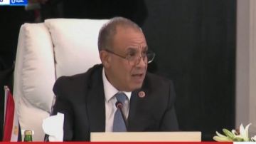 وزير الخارجية: القضية الفلسطينية تمر بمنعطف تاريخي وزير الخارجية: القضية الفلسطينية تمر بمنعطف تاريخي