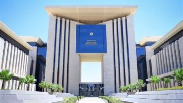 مساعد الخارجية: معاشك بالدولار يوفر معاشا للمصريين بالخارج في حالات العجز والإصابة والفصل التعسفي