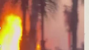 حريق هائل في بورتو مارينا على البحر المتوسط بالساحل الشمالي تفاصيل