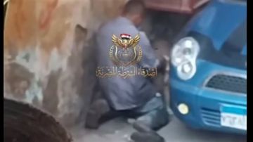 فيديو فاضح شاب مع كلب في الزاوية الحمراء يثير الغضب..ما القصة؟