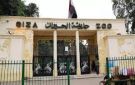 مش هتصدق شكلها الجديد.. ماذا ينتظر زوار حديقة حيوان الجيزة؟