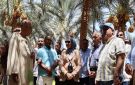 محافظ الوادي الجديد تشهد حصاد البرحي بمزارع وزارة الزراعة بشرق العوينات