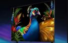 شاومي تطلق سلسلة شاشات TV S Pro 2027 بتقنية RGB Mini LED وسطوع 5000 شمعة - eg