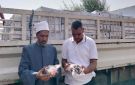 أخبار أسوان تسليم 3 أطنان لحوم لتوزيعها على الأسر ..تشميع 5 مطاعم بحي غرب.. تحسين النظافة والإنارة بـ كوم أمبو