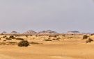 علماء يكشفون عالما بحريا مفقودا تحت صحراء مصر - eg