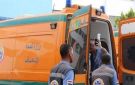 اصابة مسن بلدغة عقرب بمركز الفرافرة ونقله للمستشفى لتلقي العلاج