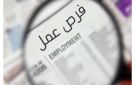 توفير 3032 فرصة عمل جديدة بـ 56 شركة في 9 محافظات