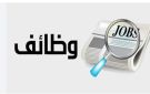 وزارة العمل تطلق مبادرة فوق الـ40 لتوفير فرص عمل لأصحاب الخبرات.. اعرف التفاصيل - eg