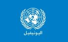  اليونيفيل : القرار 1701 الإطار الأساسي للاستقرار في جنوب لبنان والتنفيذ الكامل مسؤولية الجانبين