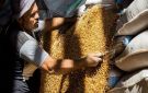 الحرب ترفع فاتورة الغذاء.. أسعار السلع المستوردة تقفز 20 خلال أغسطس