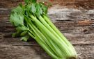 دراسة تكشف فوائد مستخلص بذور الكرفس في مواجهة ضعف العضلات مع التقدم في العمر
