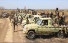 الجيش السوداني يسقط مسيرة في محور النيل الأزرق جنوب شرقي البلاد