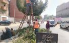 جهاز التطوير والتجميل يواصل رفع كفاءة المسطحات الخضراء بالإسماعيلية