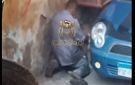 فيديو فاضح شاب مع كلب في الزاوية الحمراء يثير الغضب..ما القصة؟ - eg
