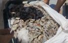ضبط طن جمبري غير صالح للاستهلاك الآدمي في سنورس بالفيوم