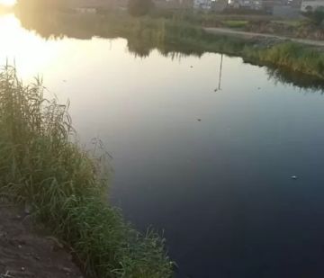 تحركات ميدانية مكثفة للتحقق من ظهور تمساح بمصرف الزوامل في بلبيس تحركات ميدانية مكثفة للتحقق من ظهور تمساح بمصرف الزوامل في بلبيس