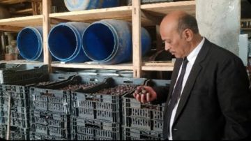 ضبط 22 طن زيتون مخلل غير صالح للاستهلاك الآدمي بطنطا ضبط 22 طن زيتون مخلل غير صالح للاستهلاك الآدمي بطنطا