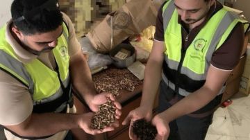 مخلوط بنواة البلح.. ضبط 600 كيلو بن مغشوش بالغربية مخلوط بنواة البلح.. ضبط 600 كيلو بن مغشوش بالغربية