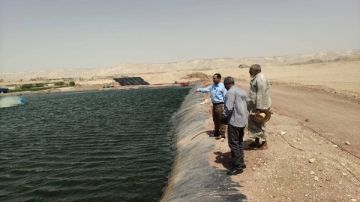 رئيس مركز بلاط بالوادي الجديد يتفقد مشروع استزراع سمكي على طريق تنيدة منفلوط رئيس مركز بلاط بالوادي الجديد يتفقد مشروع استزراع سمكي على طريق تنيدة منفلوط