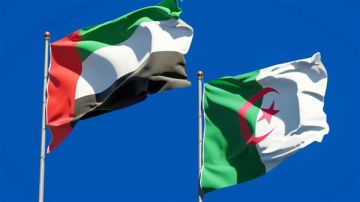 الجزائر تقرر قطع علاقاتها الدبلوماسية مع الإمارات الجزائر تقرر قطع علاقاتها الدبلوماسية مع الإمارات