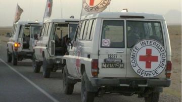 الصليب الأحمر يعلن نقل 5 محتجزين لدى إسرائيل إلى لبنان الصليب الأحمر يعلن نقل 5 محتجزين لدى إسرائيل إلى لبنان