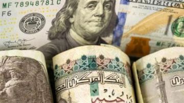 الدولار عند مستويات الـ51 جنيها.. تعرف على سعره اليوم بالبنوك الدولار عند مستويات الـ51 جنيها.. تعرف على سعره اليوم بالبنوك