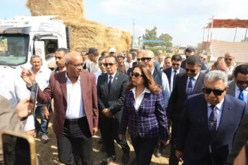 وزيرة التنمية المحلية والبيئة ومحافظ الدقهلية يتفقدان موقع تجميع قش الأرز بمركز بلقاس وزيرة التنمية المحلية والبيئة ومحافظ الدقهلية يتفقدان موقع تجميع قش الأرز بمركز بلقاس