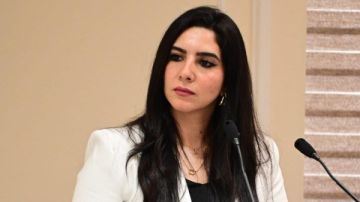 سؤال برلماني بشأن إزالة الأشجار المعمرة بشوارع الجيزة سؤال برلماني بشأن إزالة الأشجار المعمرة بشوارع الجيزة