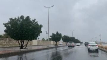 من الشبورة إلى الأمطار.. ماذا ينتظر المصريين الساعات المقبلة؟ من الشبورة إلى الأمطار.. ماذا ينتظر المصريين الساعات المقبلة؟