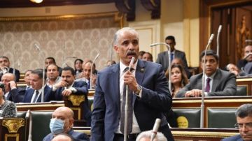 حماد: زيادة المساحات الخضراء ضرورة عاجلة لتحسين جودة الحياة ومواجهة التلوث حماد: زيادة المساحات الخضراء ضرورة عاجلة لتحسين جودة الحياة ومواجهة التلوث